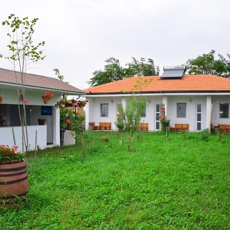 Hotel Casa Gyomar Vama Veche Exterior foto
