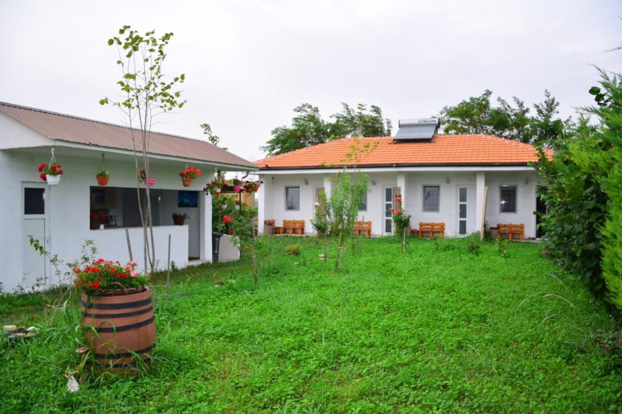 Hotel Casa Gyomar Vama Veche Exterior foto