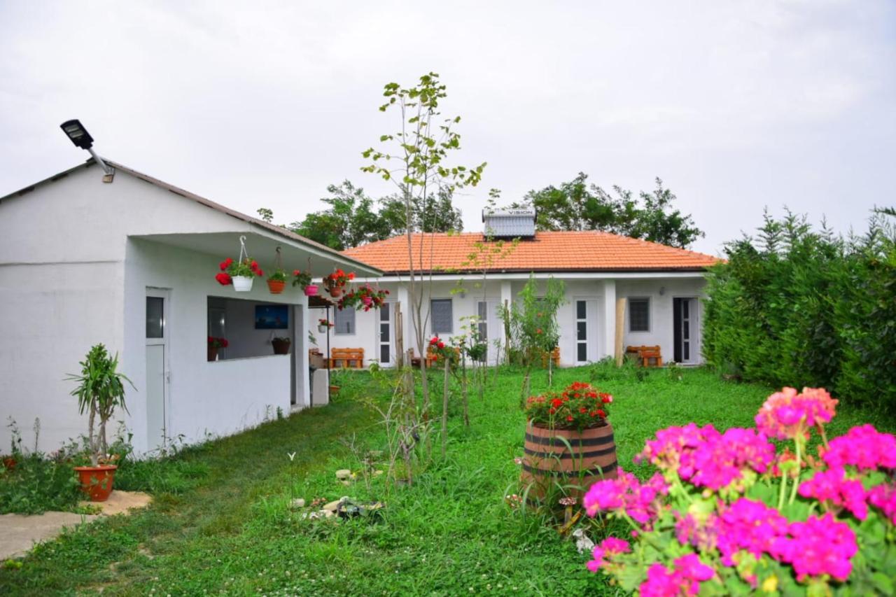 Hotel Casa Gyomar Vama Veche Exterior foto